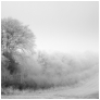 slides/South Downs Fog.jpg freezing fog,ice,mist,winter,cold,south downs national park in winter,simon parsons,west sussex,bury hill South Downs Fog